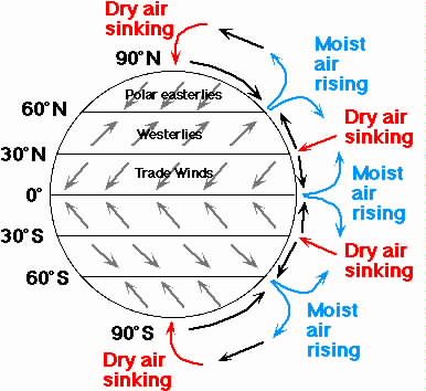 The Effect Of Air Movement Patterns On