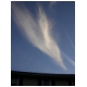 Hummingbird Cloud 2