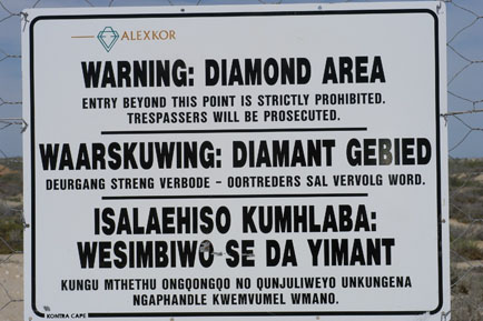 Near Kanikwa south, 2.2 k on Kleinsee road, 14 km east of McDougalls Bay turnoff. 14 September 2003.