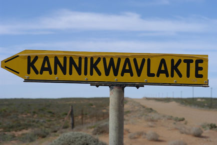 Hydnora Flats (in Afrikaans). Kleinsee Road near junction with Steinkopf Road. Near Port Nolloth, South Africa. 14 September 2003