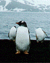 Description: G:\homepage\homepage lab\plogo.gif