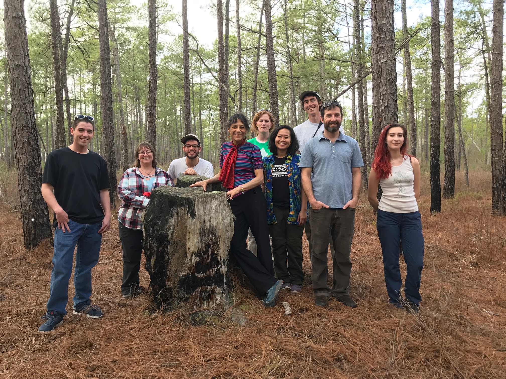Historic turpentine stump,  Blackwater Ecologic Preserve