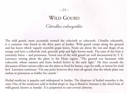 Gourd, text from Jordan in Bloom