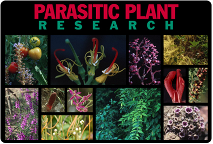 Parasitic Plant